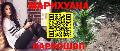 PSILOCYBIN Будённовск