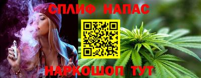 стафф Новоалександровск